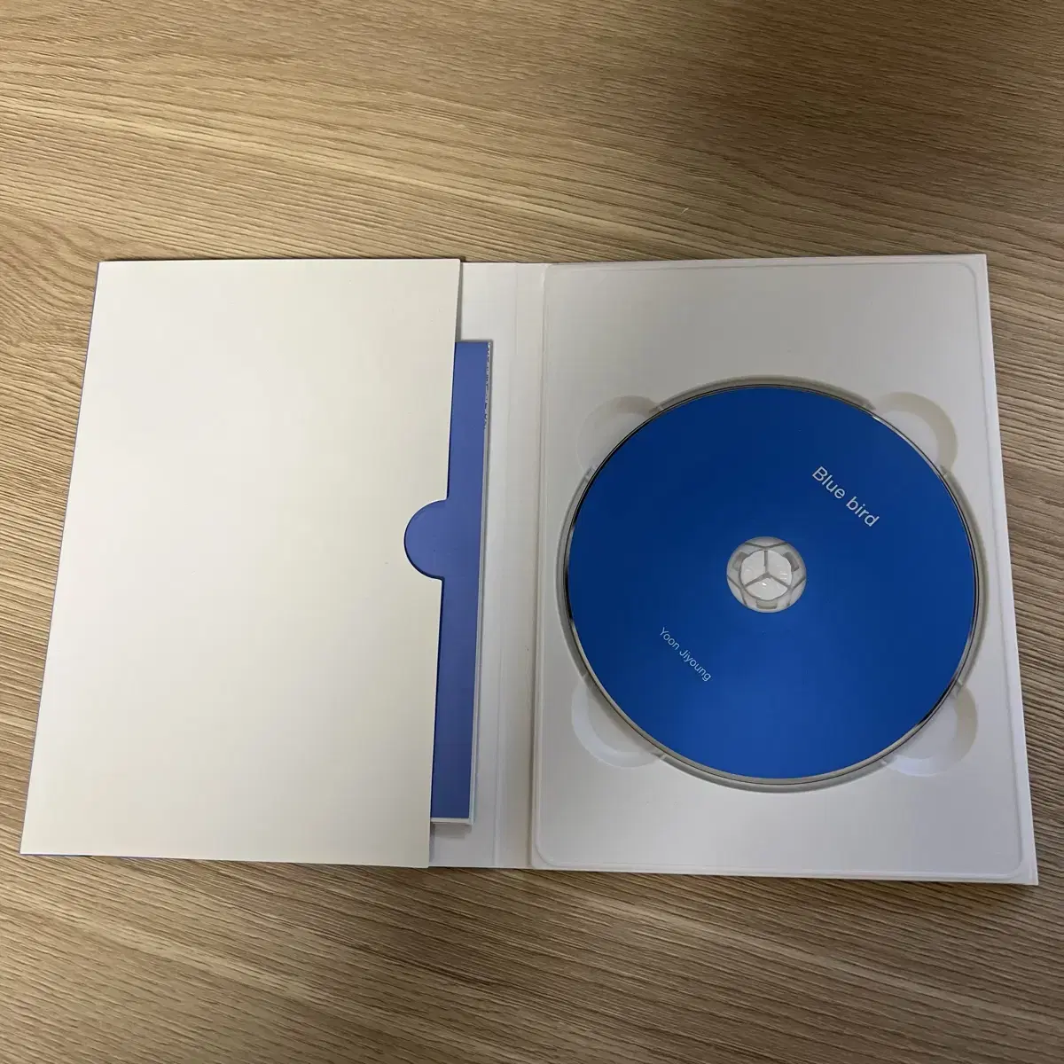 윤지영 블루버드 blue bird CD