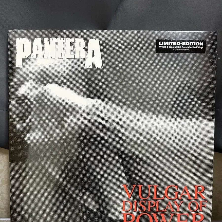 Pantera 헤비메탈 명반 한정반 미개봉 LP 가격인하