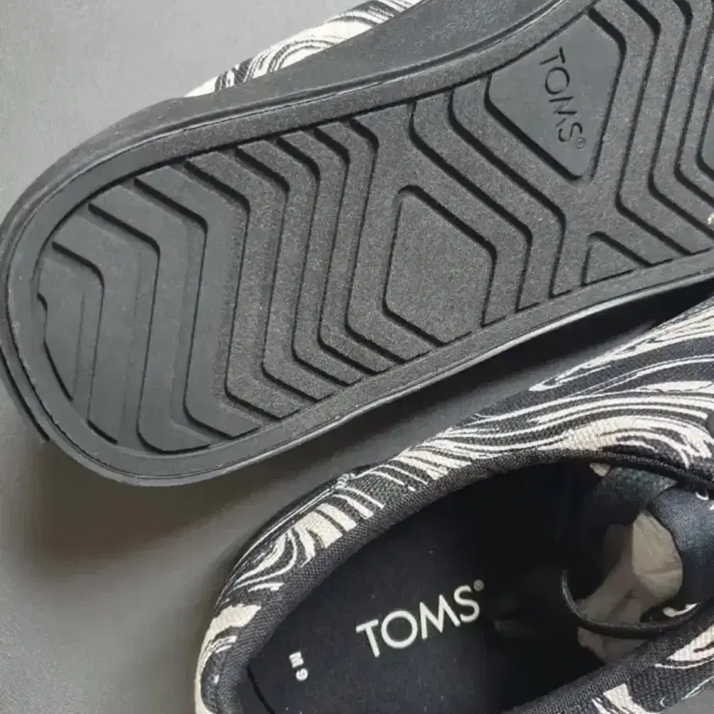 탐스 TOMS 남성 알파가타 피닉스 레이스업 스니커즈 270