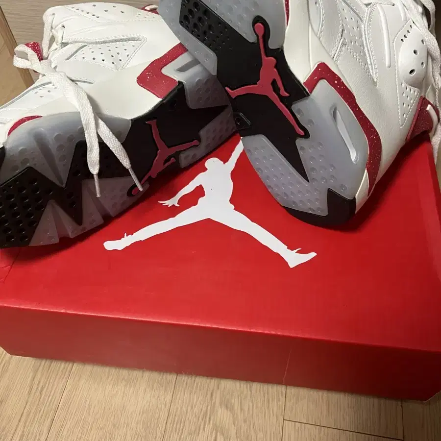 Air Jordan 6 retro