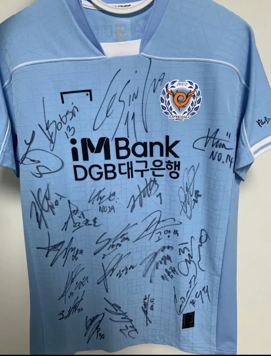 Daegu FC Authentic signature Jerseys