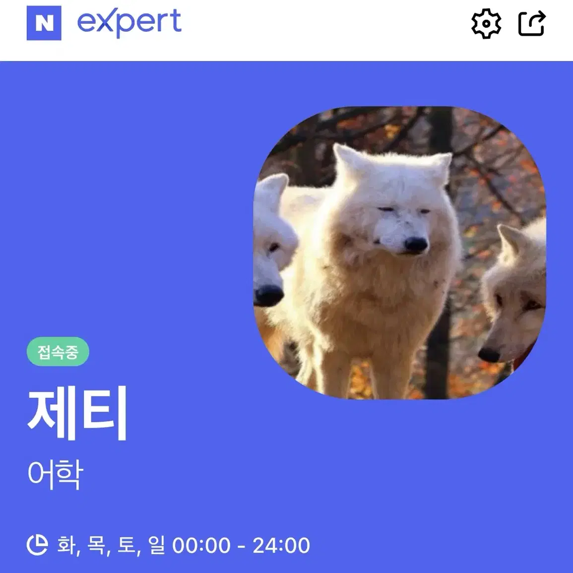 영어권 수의대) 모의토익, 영어 에세이, gpt우회, 첨삭