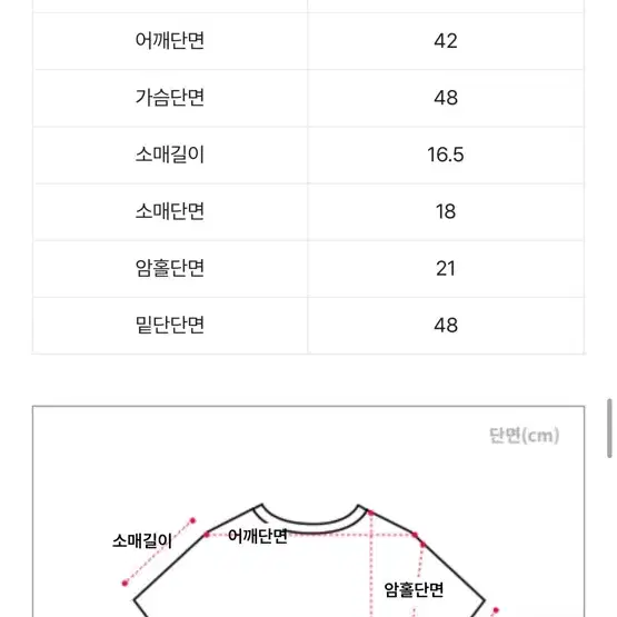 잘록 허리 리본 절개 반팔 티셔츠