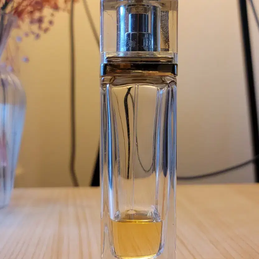 디올 어딕트 EDT 50ml 향수