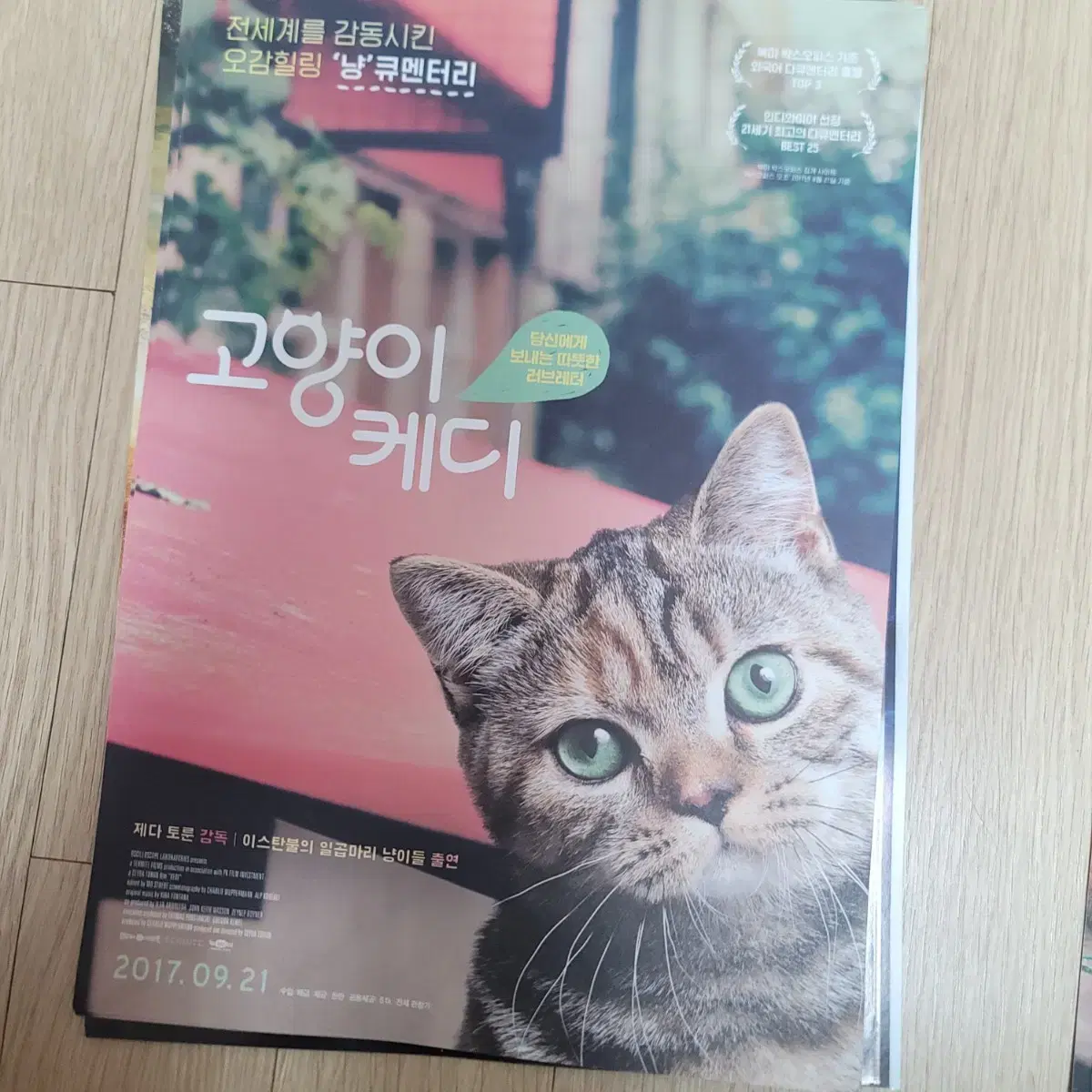 Keddy the Cat movie poster pamphlet flyer