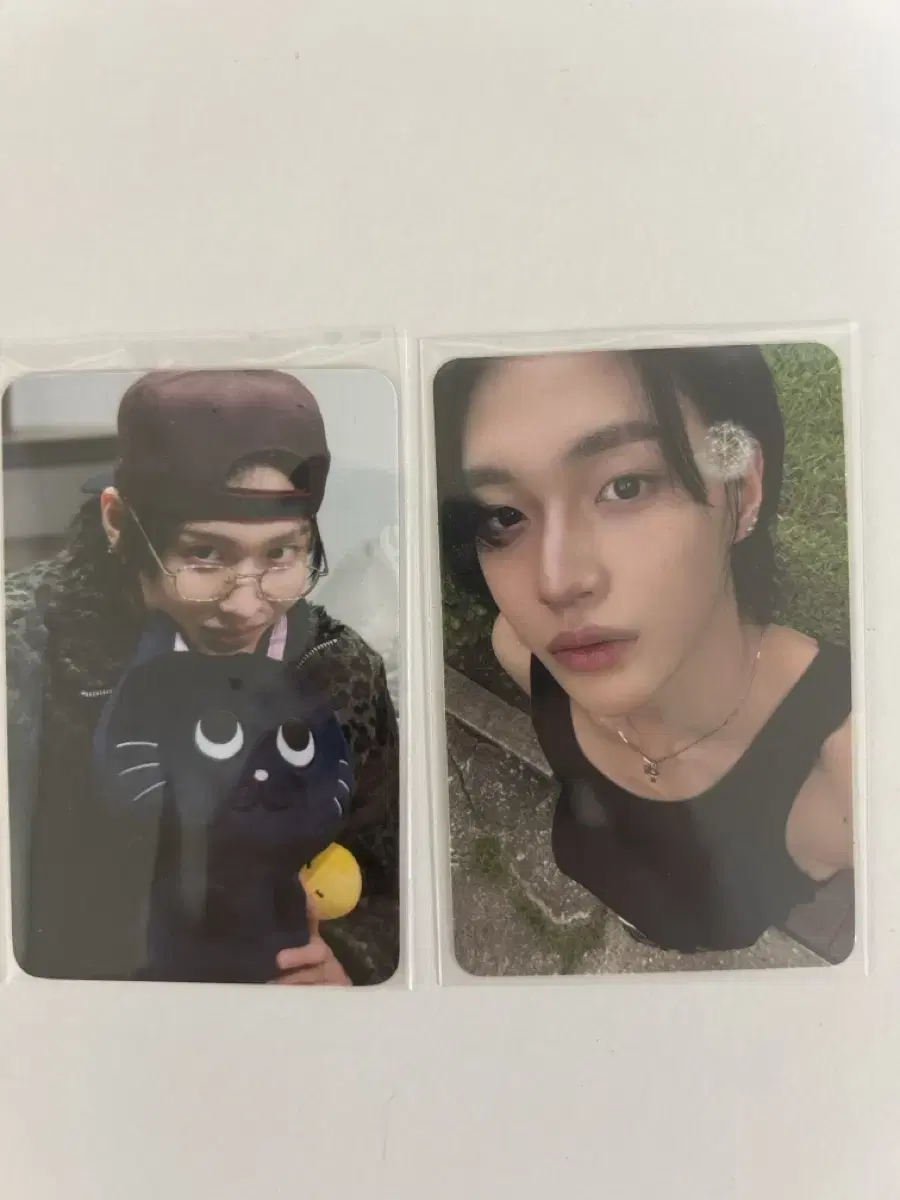 riize wonbin photocard bulk dandelion wonbin