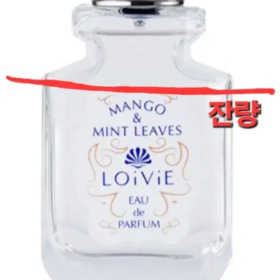 향수 로이비 오 드 퍼퓸 망고 앤 민트 리브 50ml 향수