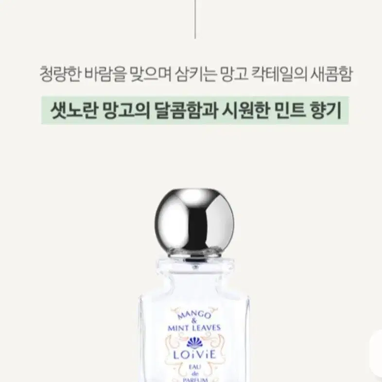 향수 로이비 오 드 퍼퓸 망고 앤 민트 리브 50ml 향수