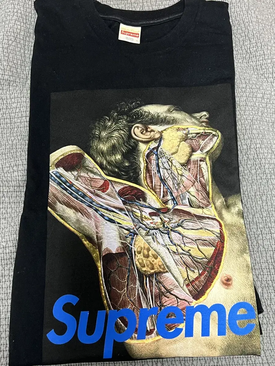 Supreme X Undercover Anatomy Anatomy Vahn