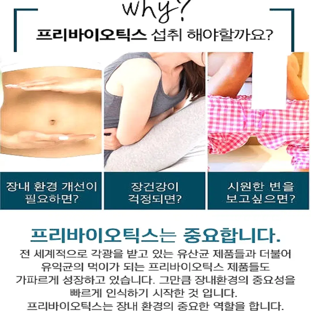 내츄럴플러스 프리바이오틱스 프락토올리고당 FOS 유산균 30포