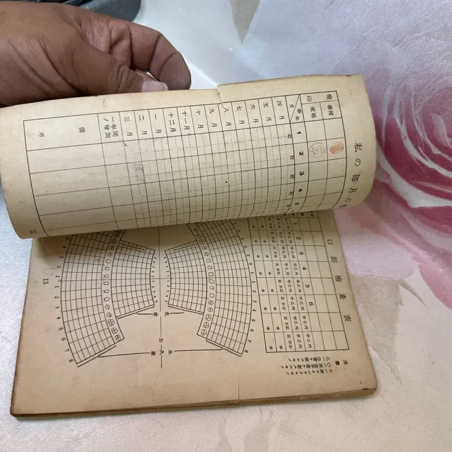 강점기 국민학교남자용교과서,나의몸,조선교육회편찬,소화16년(1941년)