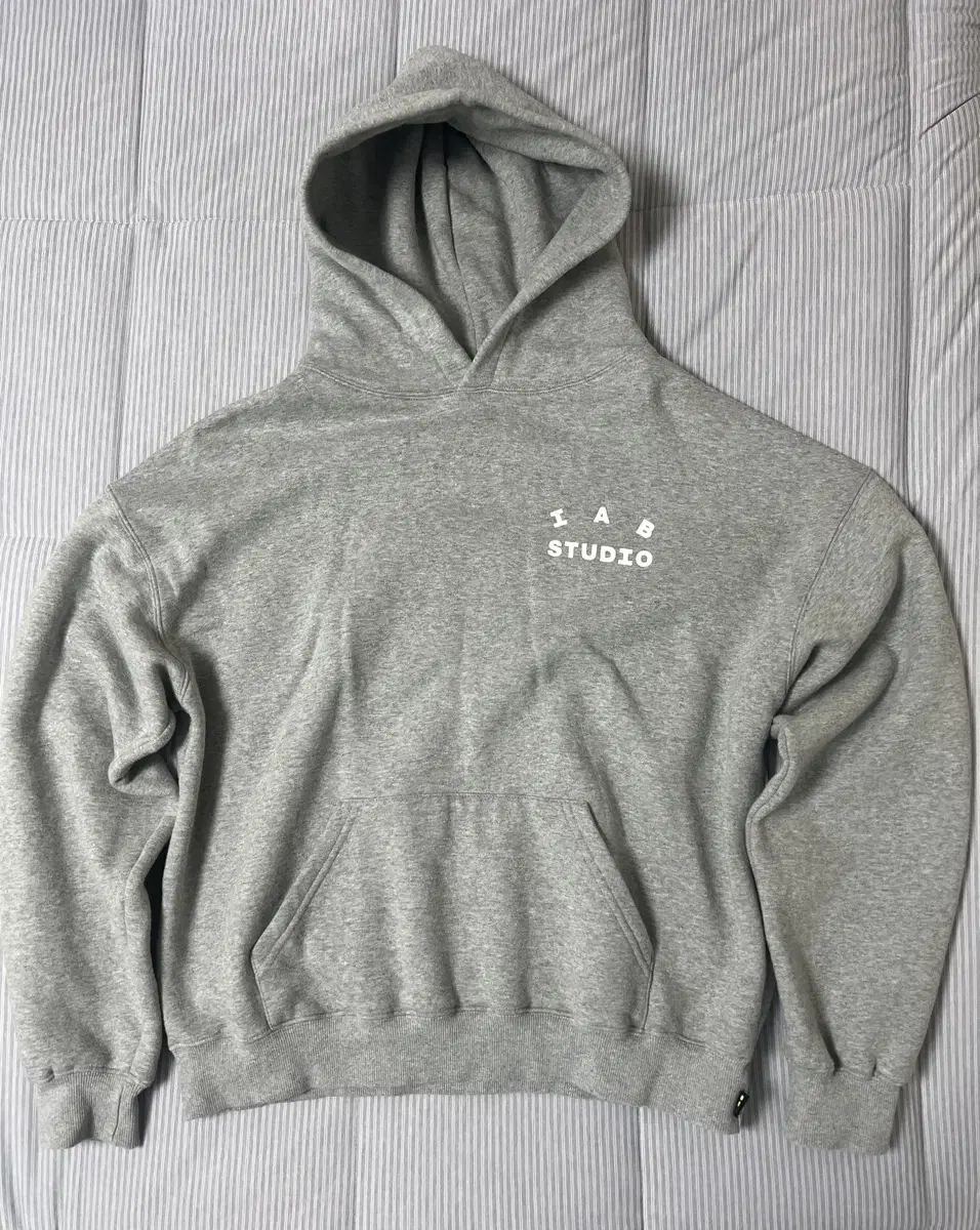 iApp Hoodie Gray (size L)