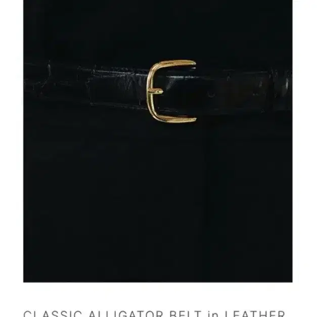 LE917 CLASSIC ALLIGATOR BELT in LEATHER