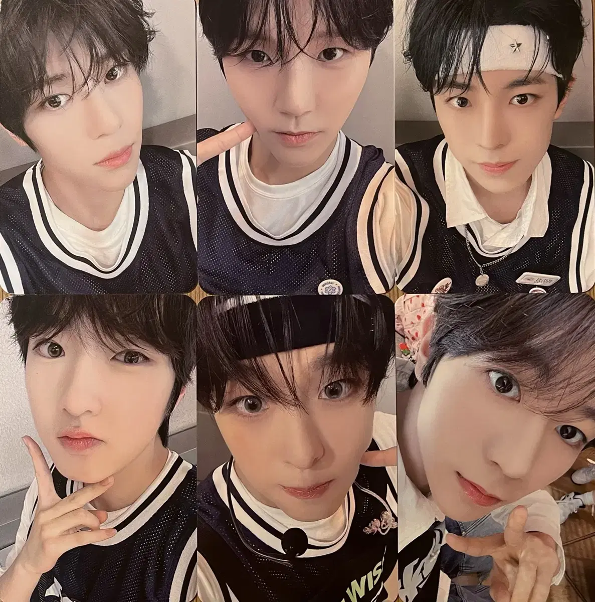 nct wish nct wish 디마뮤 unreleased photocard 디어마이뮤즈 photocard 양도