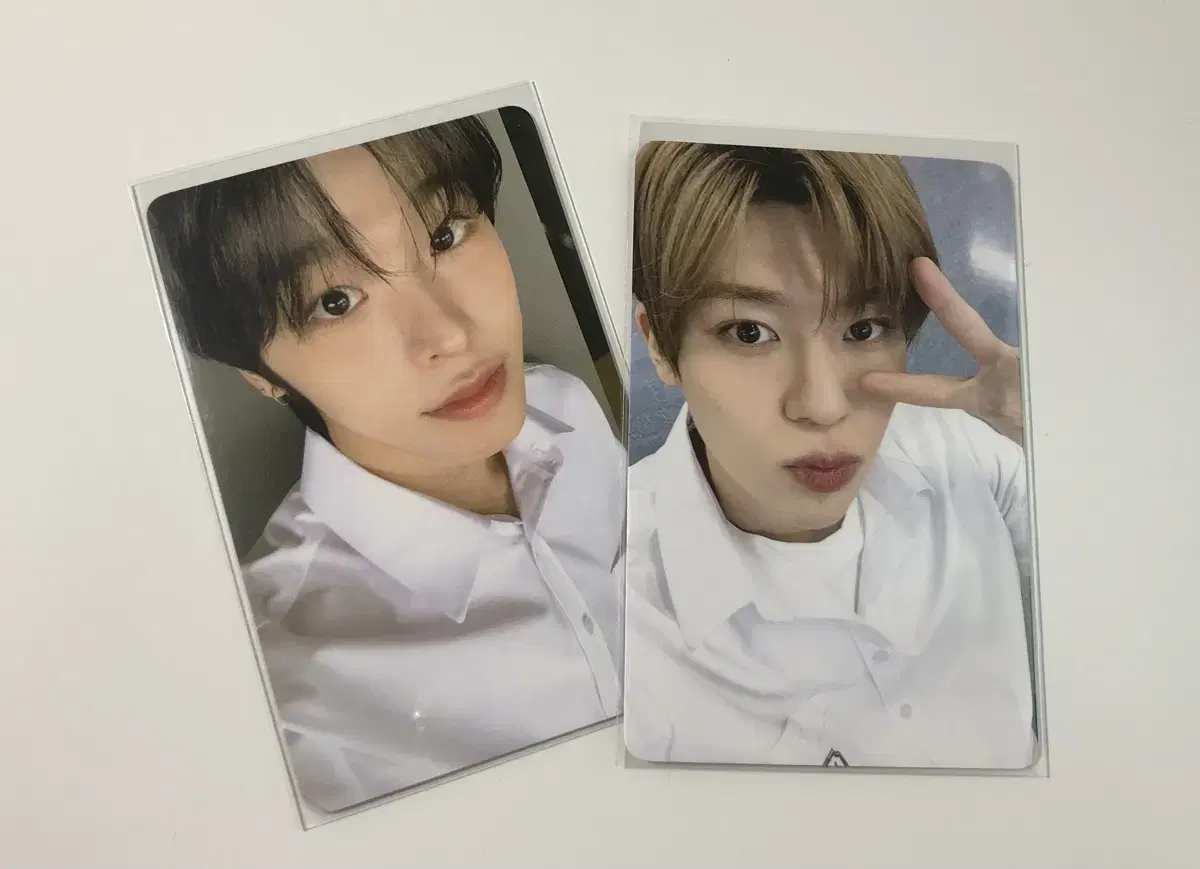 School of WTS riku sion photocard bulk Transfer