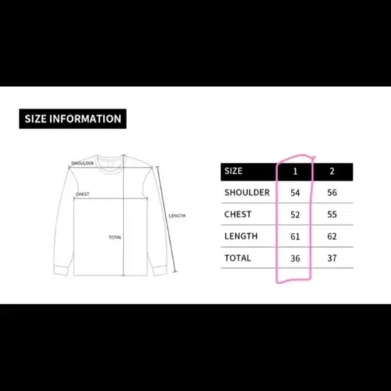 아크메드라비(ADLV) SCHEME SETUP 컬러 배샛 셋업