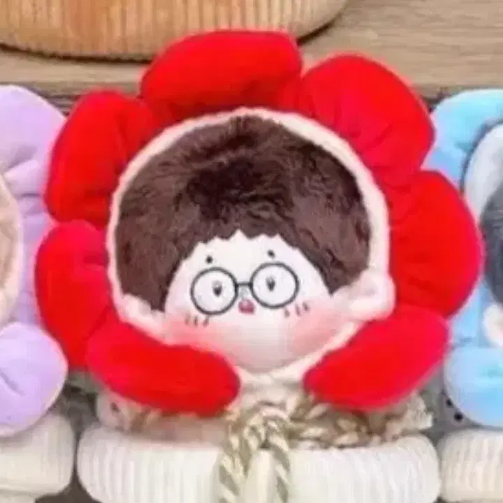 10cm 삼둥이 꽃화분 빨강, 보라 일괄