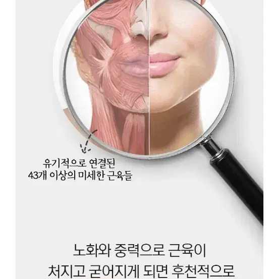 SSAK 도자기 괄사 페이스용  크림도 드려요