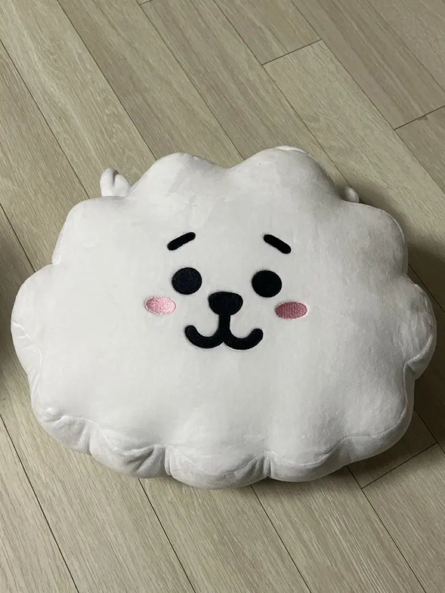 BT21 RJ Cushion