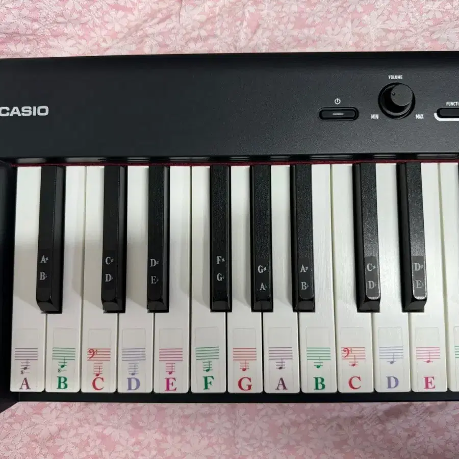 카시오 CDP-S100 전자피아노 CASIO CDPS100 CDP S10