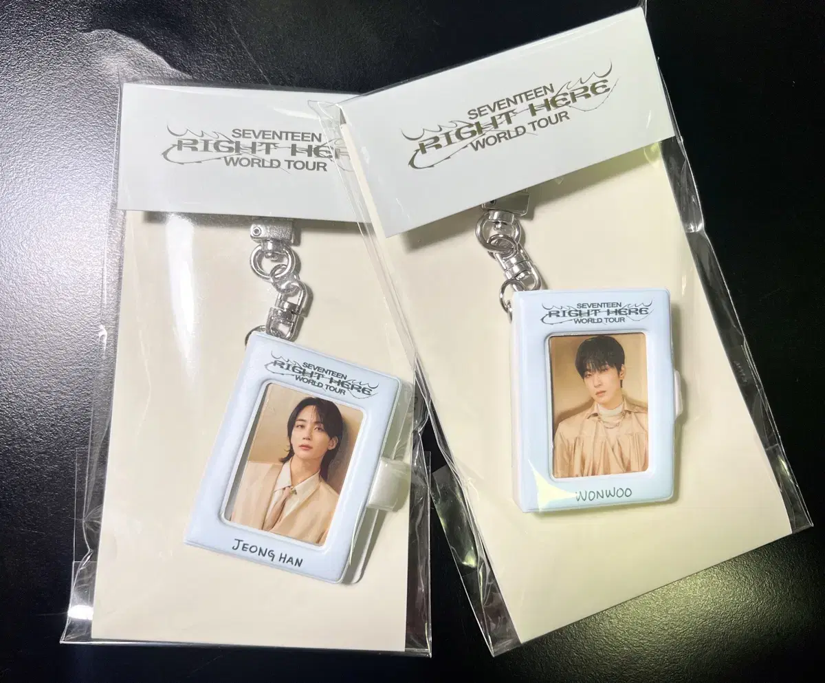 Seventeen Goyang Concert keyring (Jeonghan/Wonwoo)