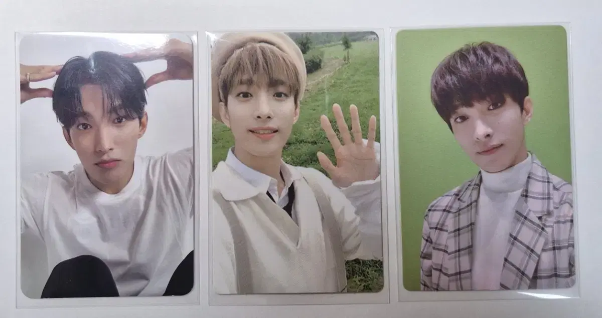 Seventeen dk transferred to photocard in bulk