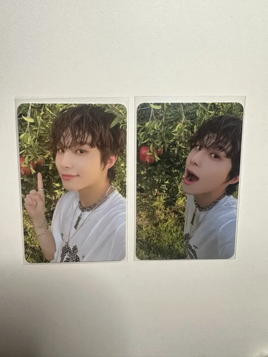 Ayo jungwoo photocards in bulk