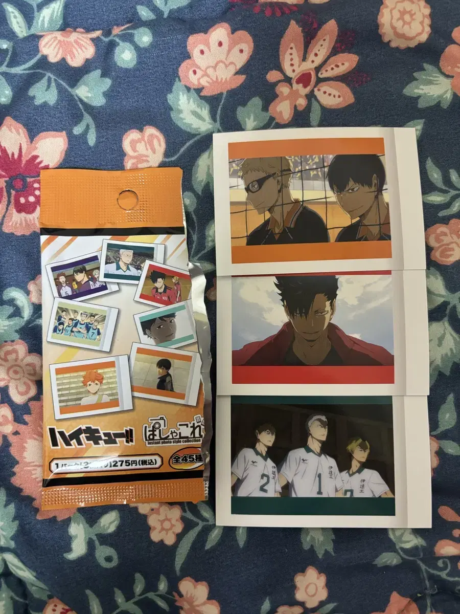 Haikyuu Pashakore Jiryukuro Kageyama tsuki Sells