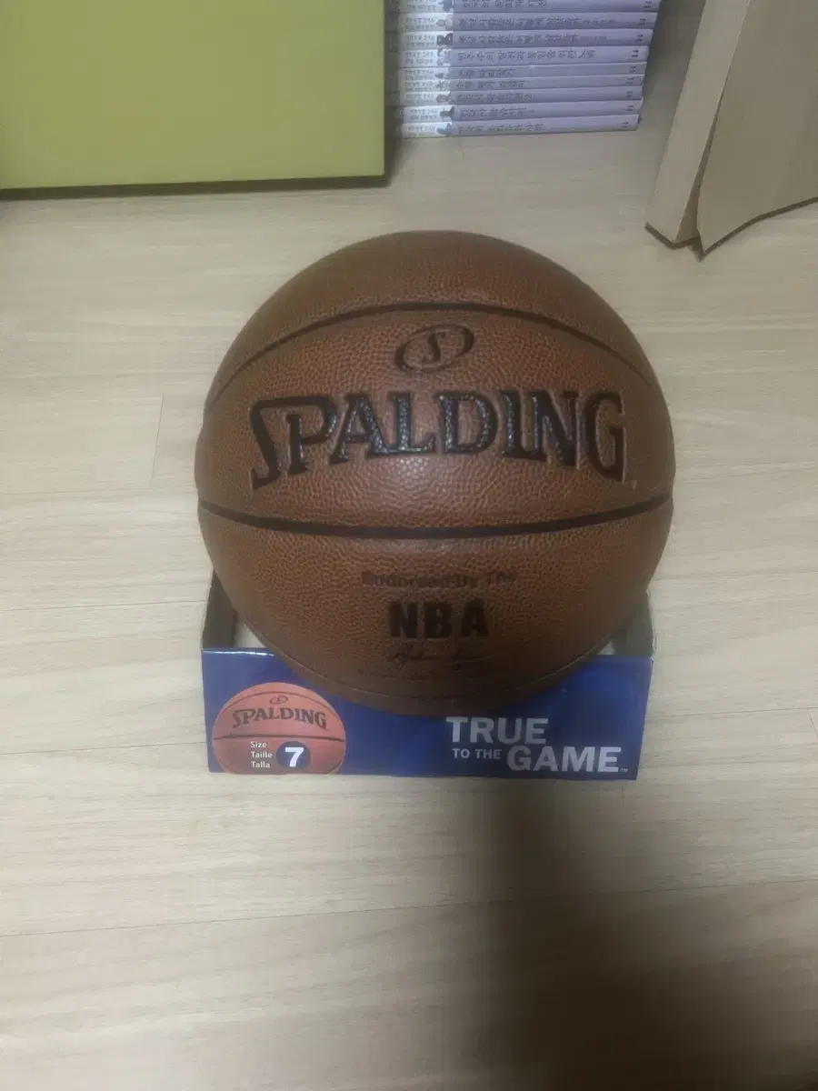 Basketball (new)