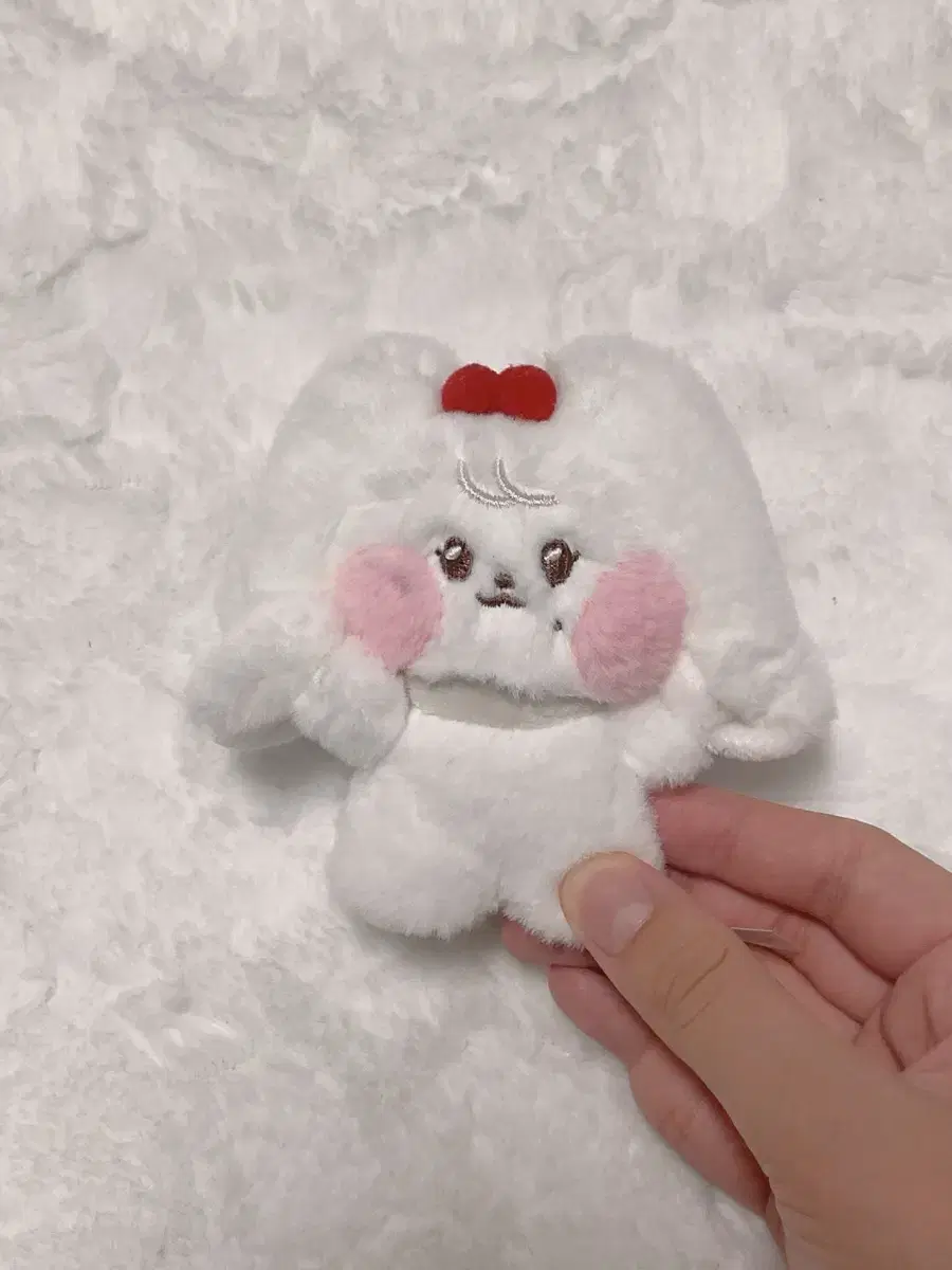 Minive Cherry ( jang wonyoung doll )