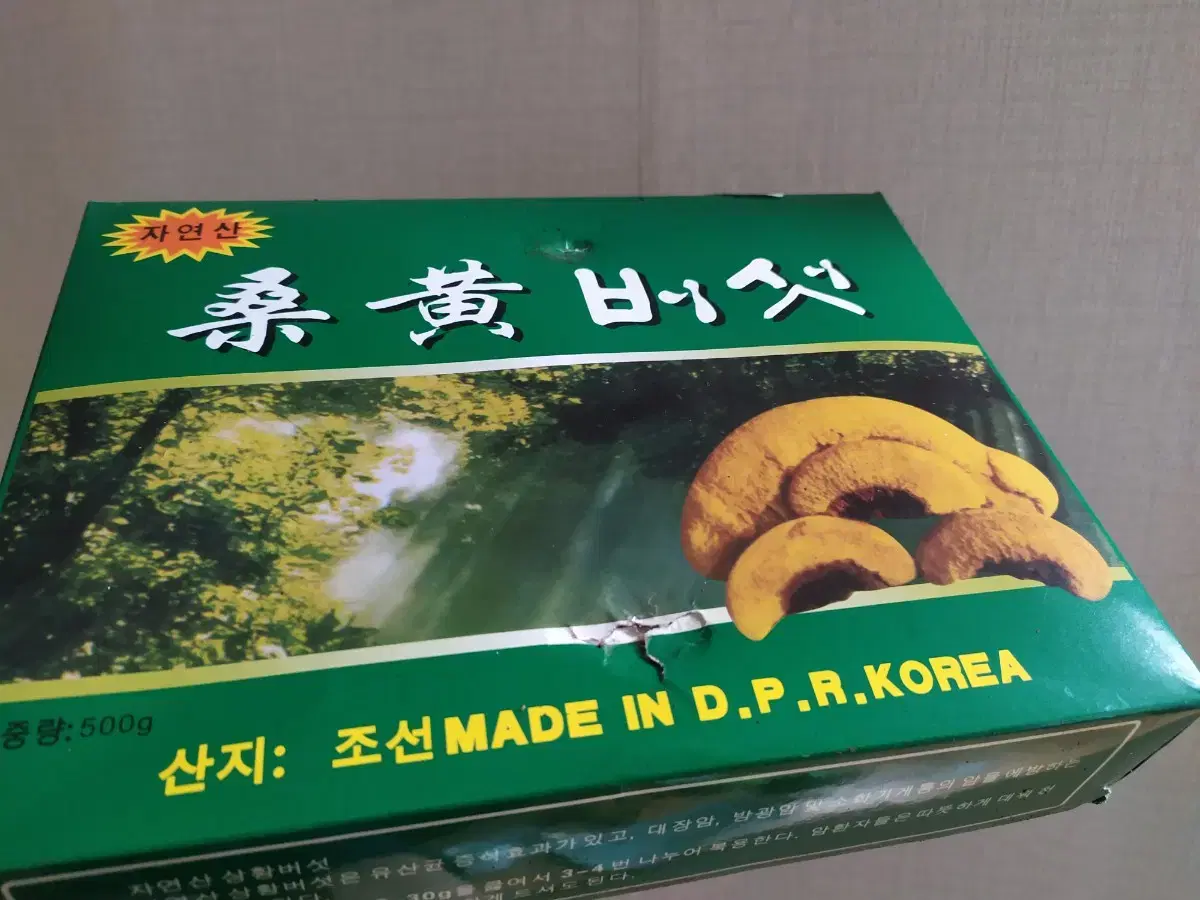 북한 상황버섯