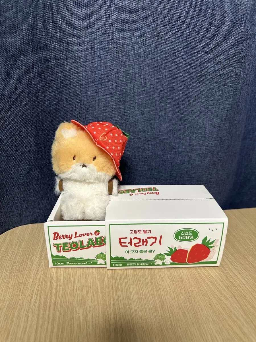 [EXO Baekhyun] sealed selling strawberry hat teolaegi (anyone like this hat?)