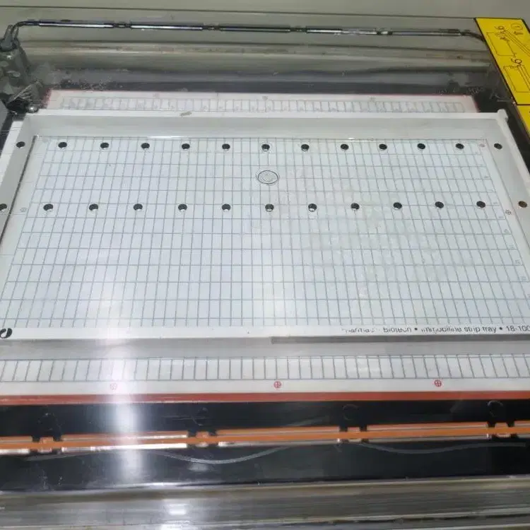 Pharmacia Biotech Multipher 2 전기영동장치