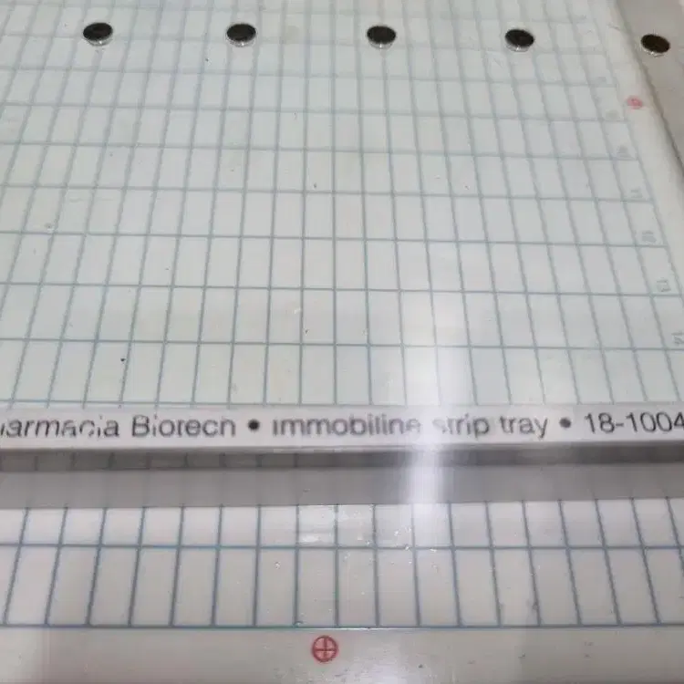 Pharmacia Biotech Multipher 2 전기영동장치