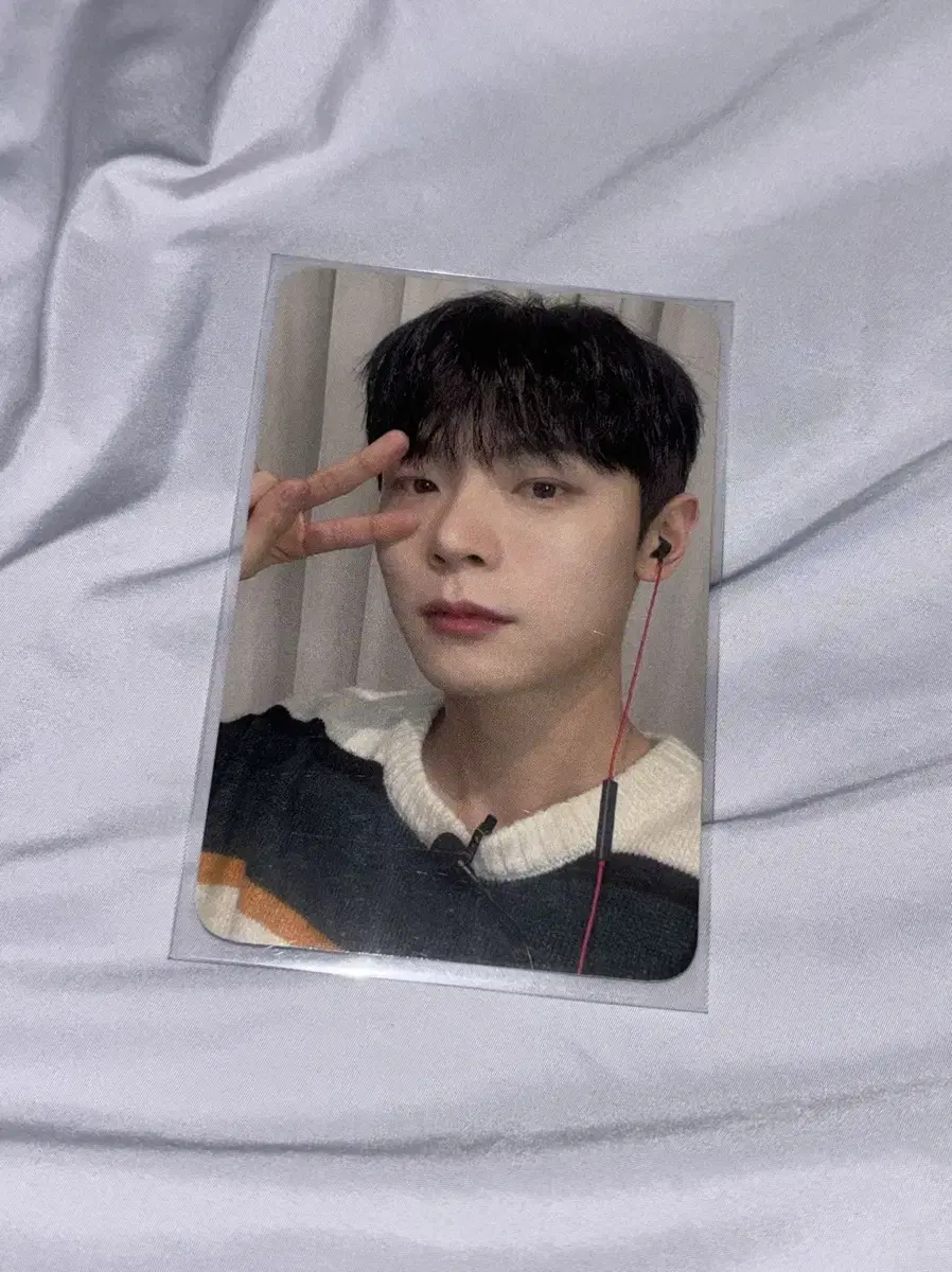 lucy shin yechan yechan blue bloo everline yongtong pansa photocard wts