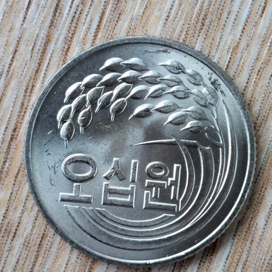 1981년50원 미사용-