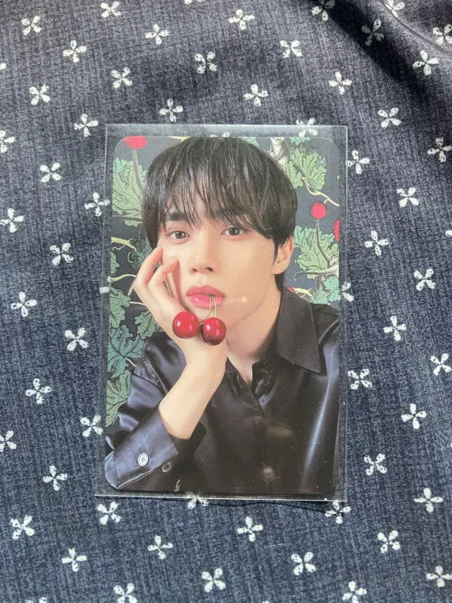 Sunwoo Mediheal Cherry Photocard