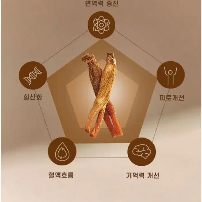 정관장 홍삼정 홍삼 농축 분말 가루 스틱 1박스 선물용 쇼핑백