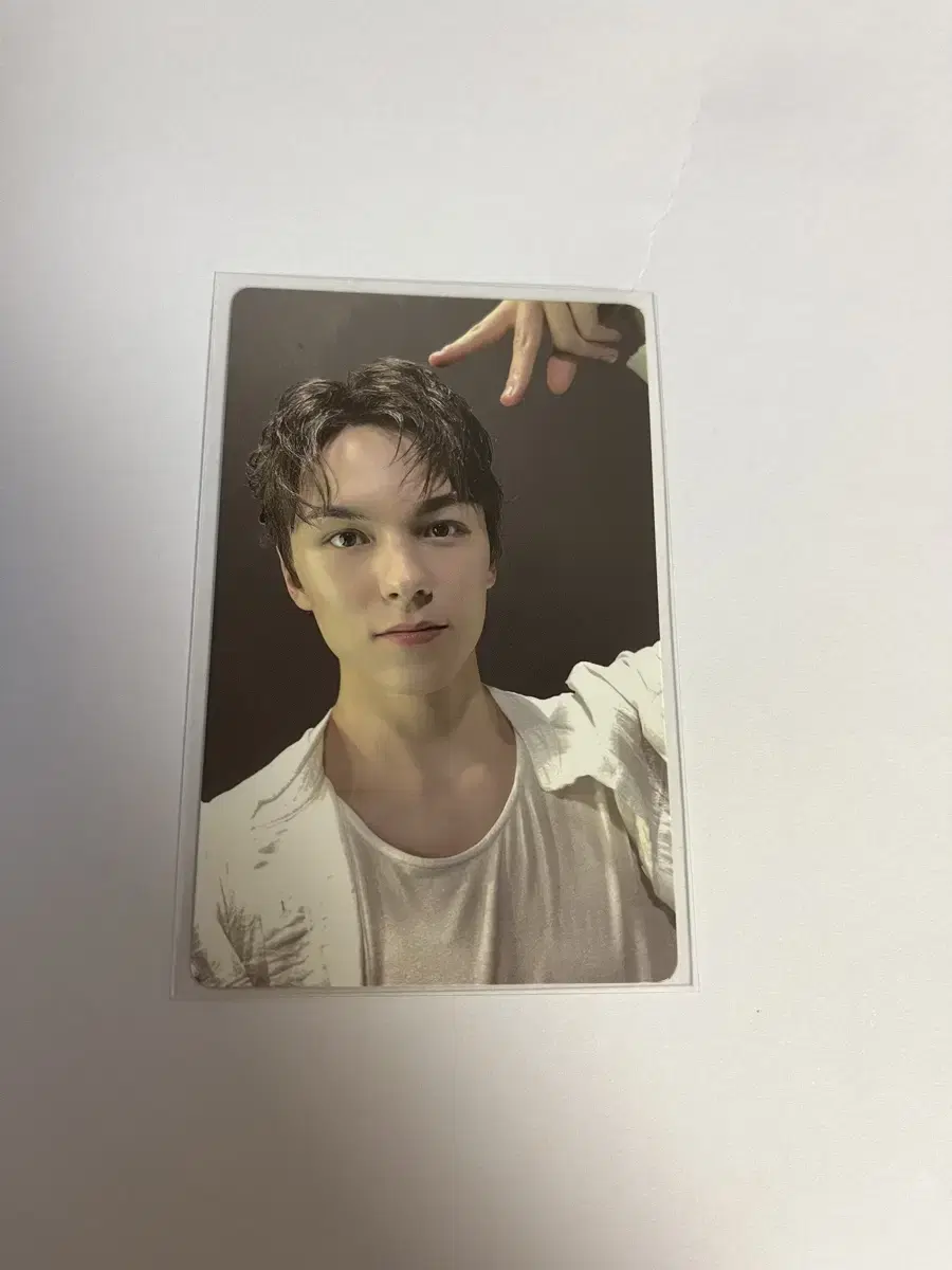 Seventeen Vol. 12 weverse pre-order benefit wts vernon seungkwan dino