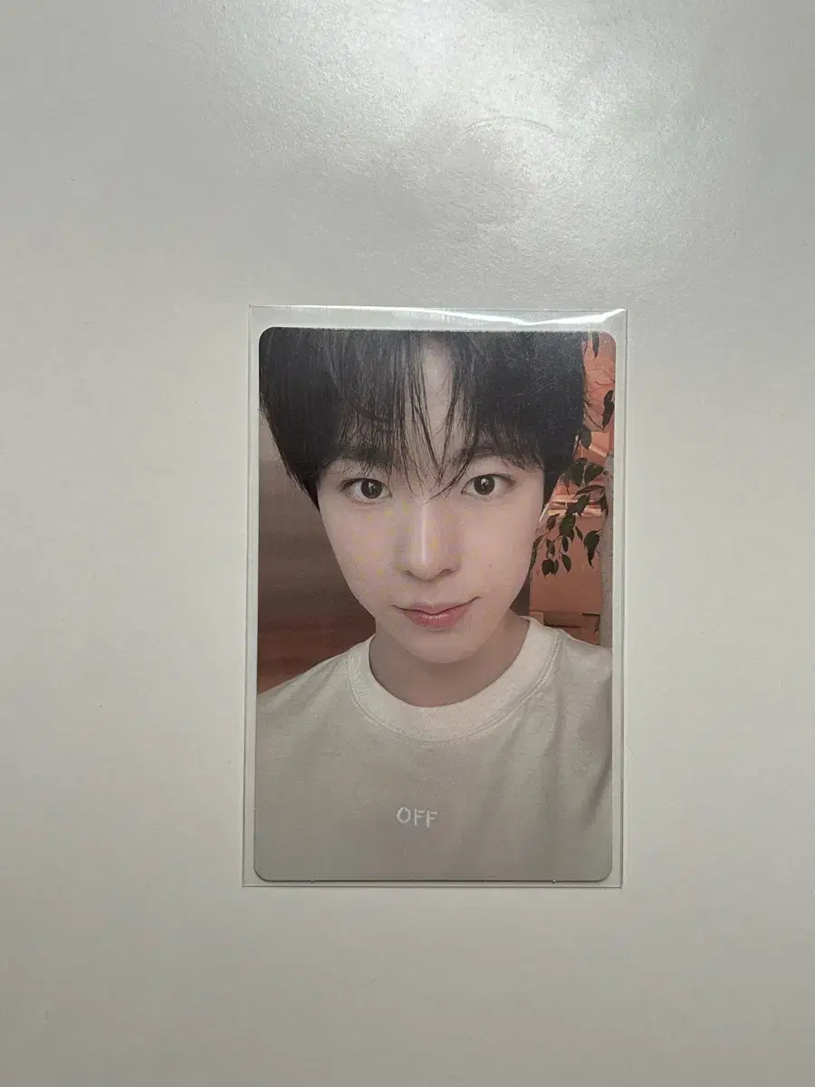 (Price drop)nct wish u m2u unreleased photocard