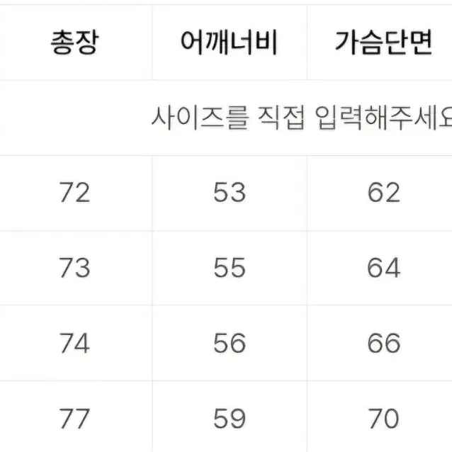 디젤 롤피스 패딩