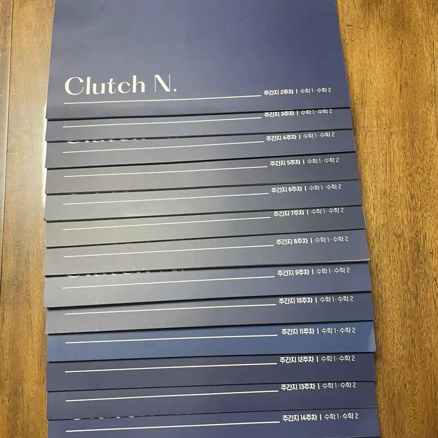 2025 시대인재 안가람T clutch N