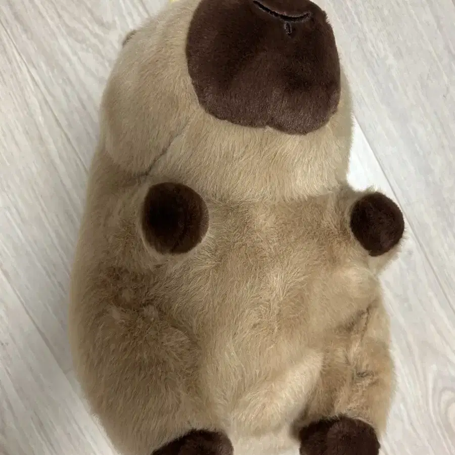 고양이 카피바라 인형