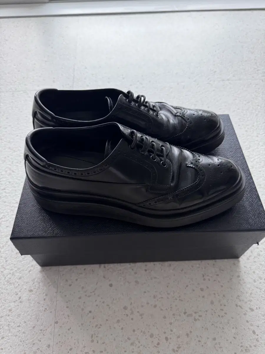 Prada Brushed Leather Derby Shoes Black (9)