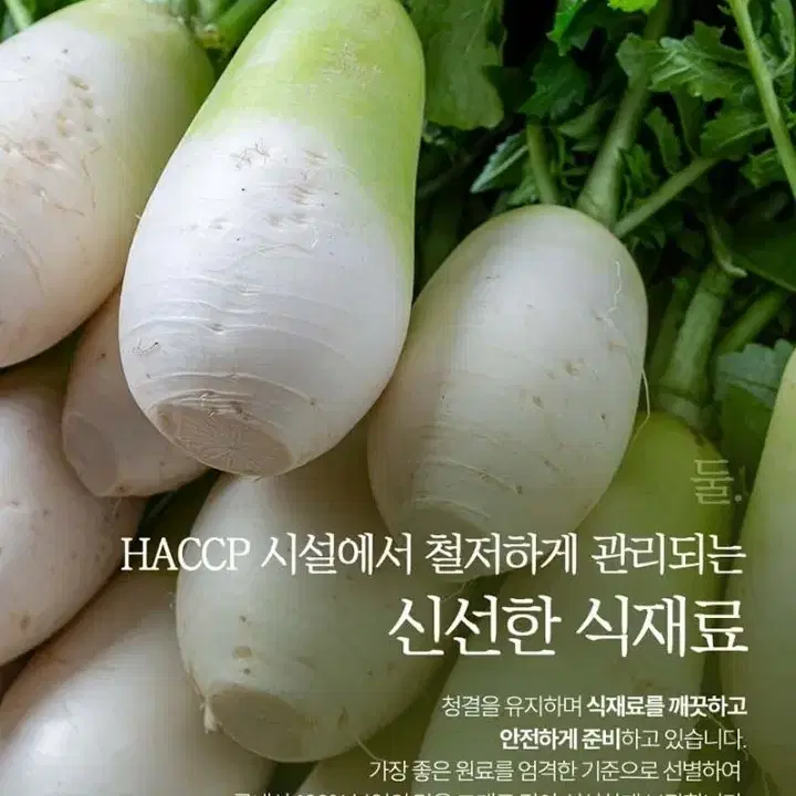 [네이버 최저가보다저렴] 총각김치 국민쿡 남도일품 김치 3kg 음식 김장