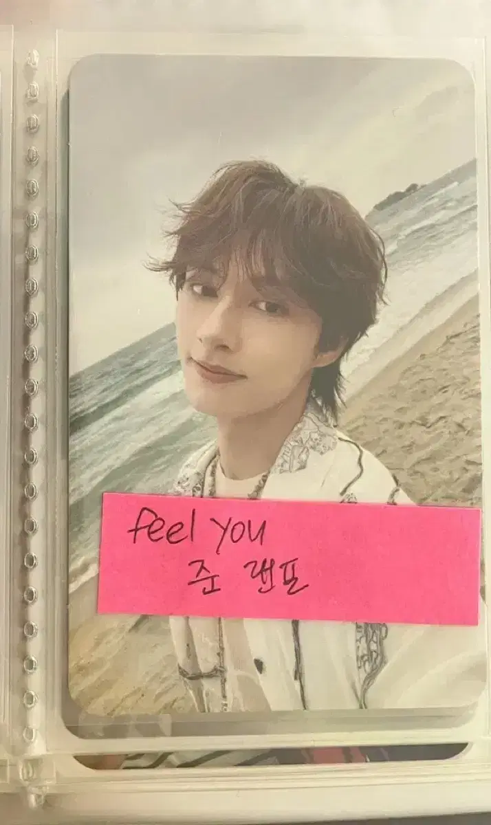 세븐틴 미니 12집 <feel you> 준