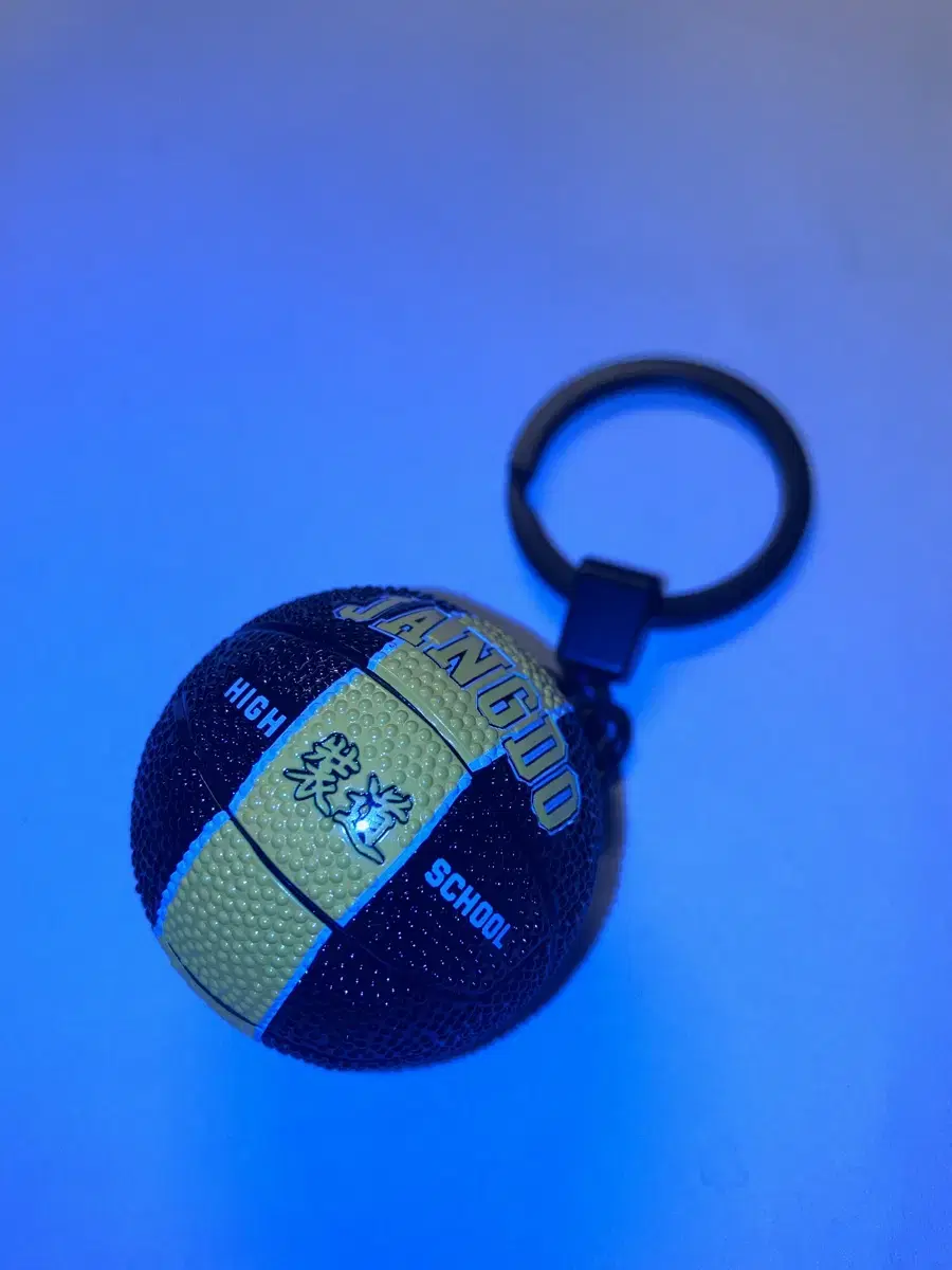 Garbage Time Gakta Jangdogo Basketball Keyring WTS