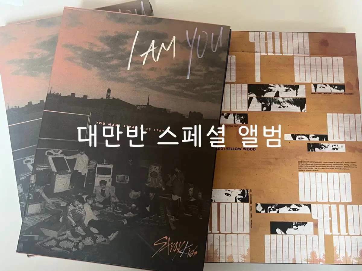 TaiwanVahn)Straykids album skz Taiwan skzoo A.M.U. YELLOWD Limited DVD