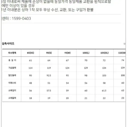 노스페이스 팀코리아 아이스런 자켓 100-L 라이트그레이 새상품