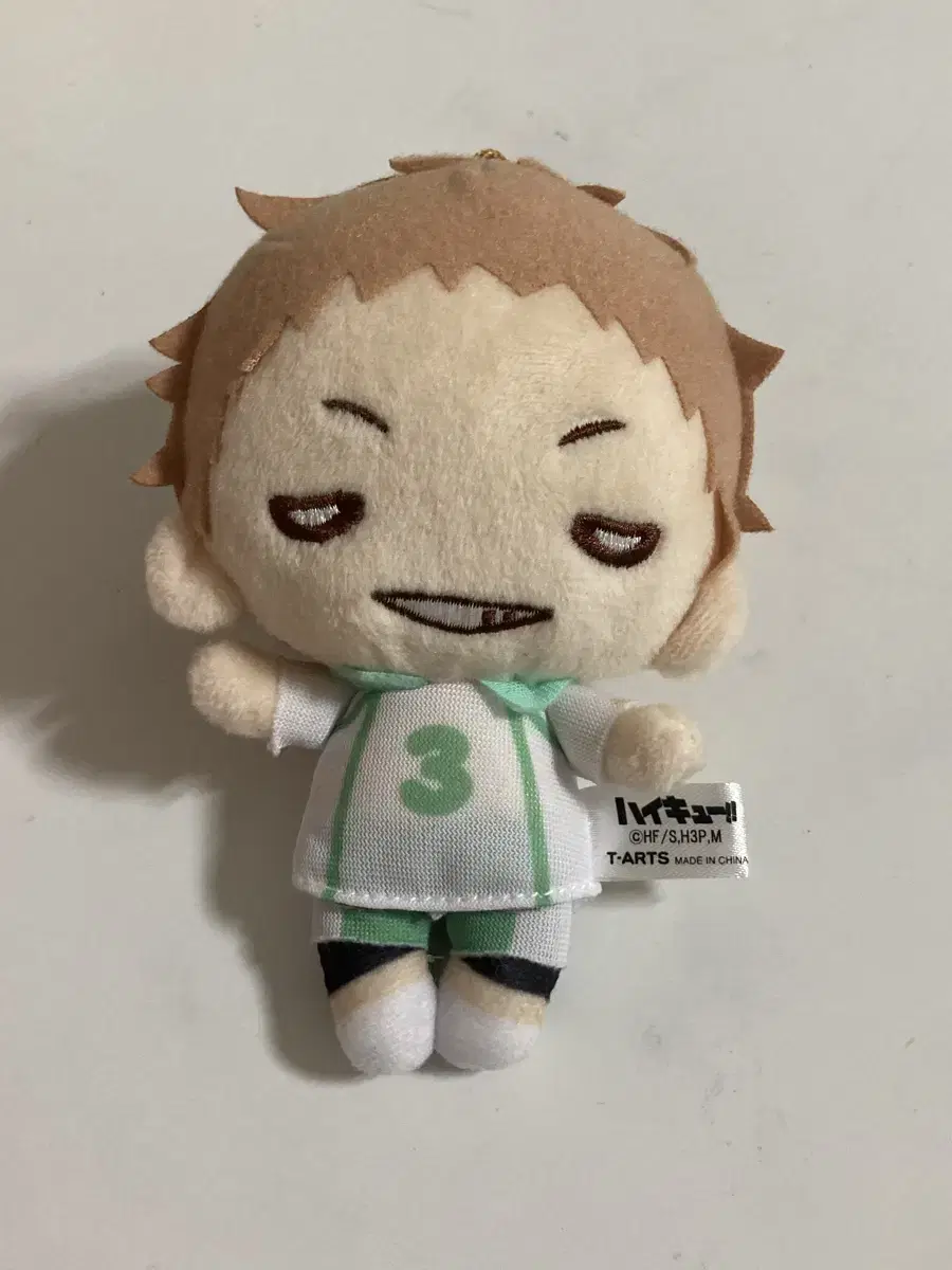 Feeding) Haikyuu Hanamaki Nitotan sell Takahiro Aobajosai Oikawa Matsukawa